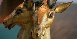 Detail of a ceremonial sleigh, part of the exhibition at Urach Palace