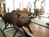 Wildschweinschlitten der Schlittensammlung im Residenzschloss Urach